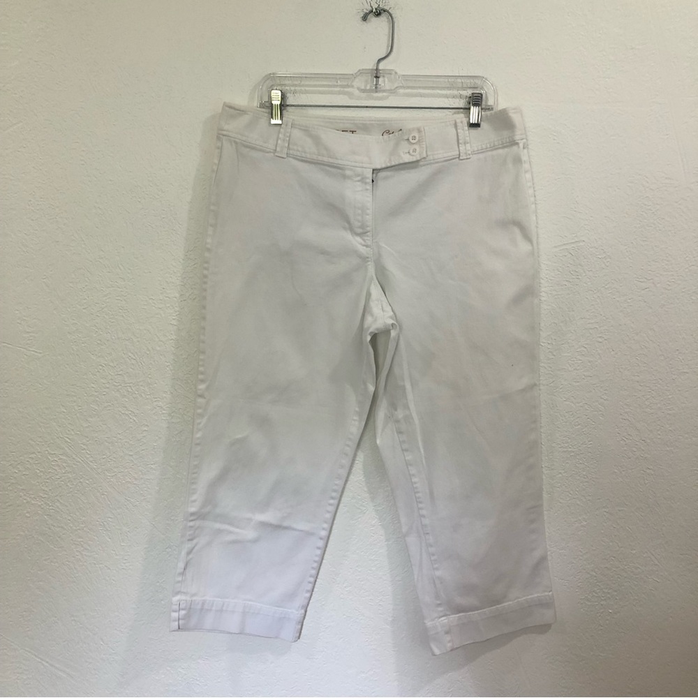 LOFT Catalina Capri Julie Fit Pants